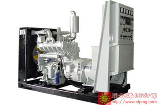 SHENGDONG 260kW Generator Set